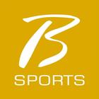 Borgata logo