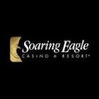 Play Eagle logo